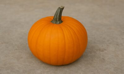 Pumpkin