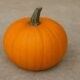 The Ultimate Guide to Pumpkin: From Farm to Feast 54 Pumpkin