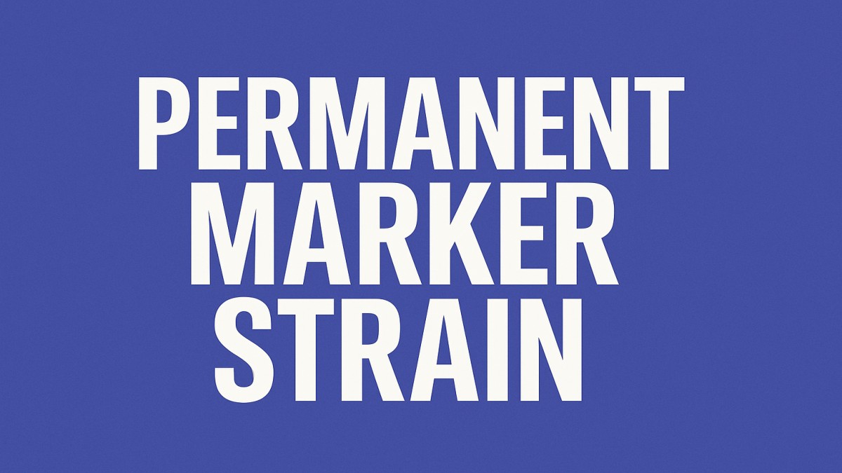 Permanent Marker Strain: The Ultimate Guide to This Potent Hybrid 41 Permanent Marker Strain