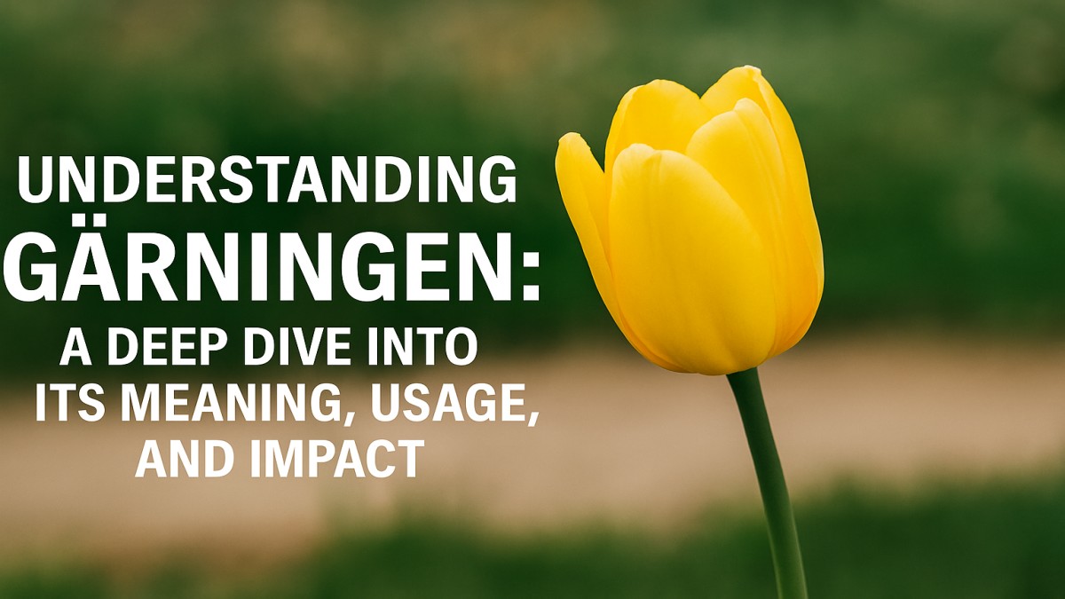 Understanding Gärningen: A Deep Dive into Its Meaning, Usage, and Impact 41 Gärningen