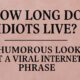 How Long Do Idiots Live? A Humorous Look at a Viral Internet Phrase 124 How Long Do Idiots Live