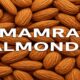 The Ultimate Guide to Mamra Almonds: Benefits, Uses, and Why They're Special 126 Mamra Almonds