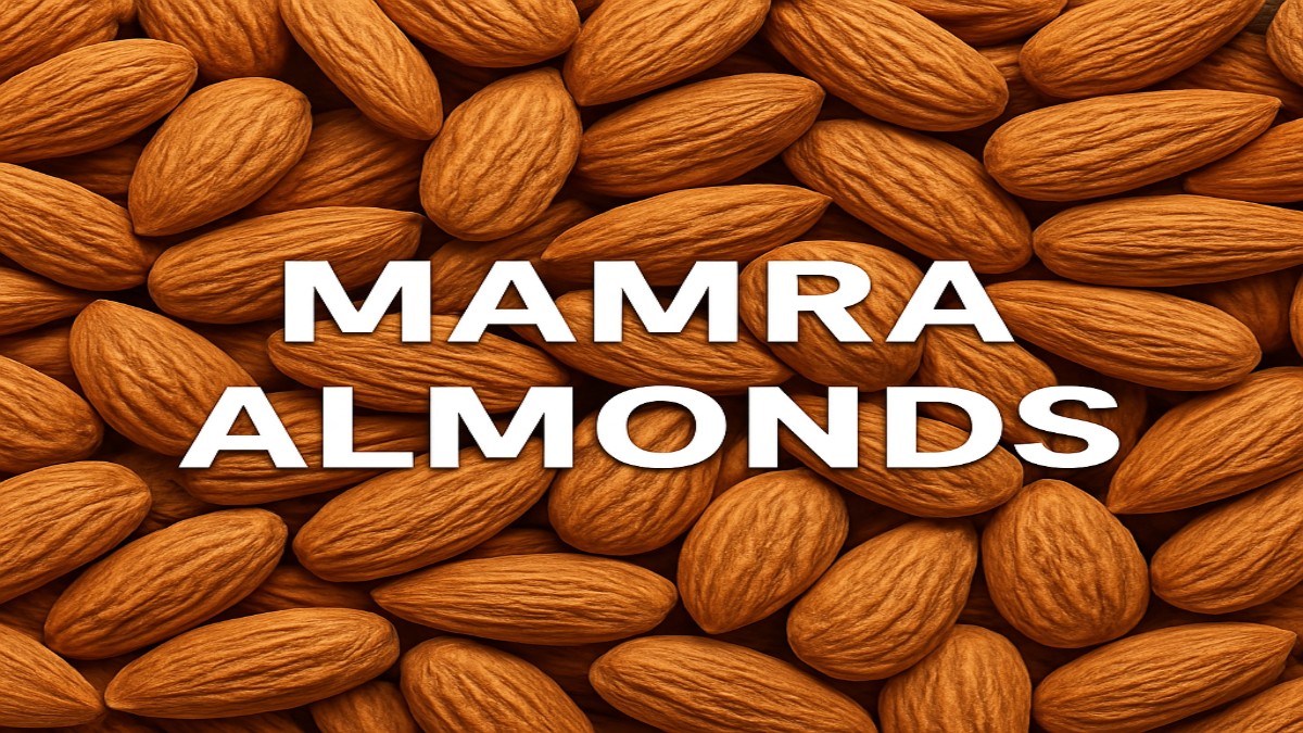 The Ultimate Guide to Mamra Almonds: Benefits, Uses, and Why They're Special 41 Mamra Almonds