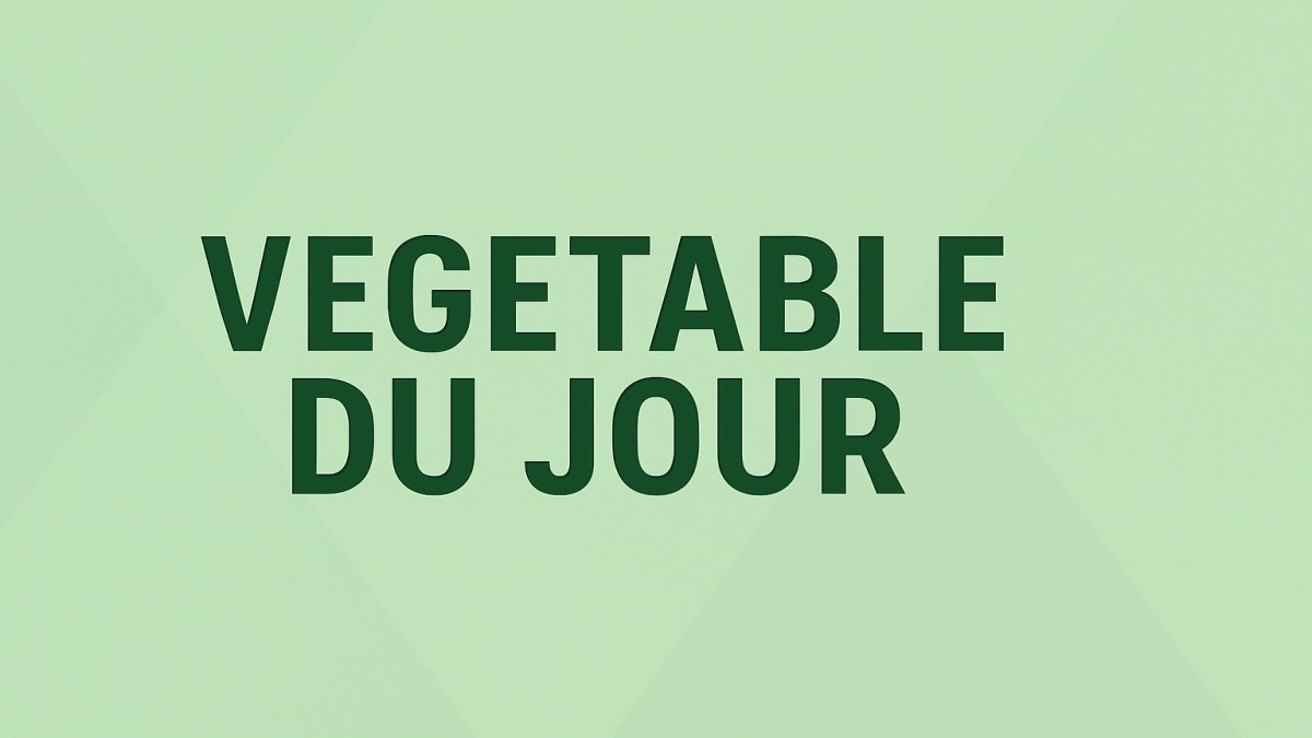 Vegetable du Jour: Exploring the Versatility and Benefits of Zucchini 39 Vegetable du Jour