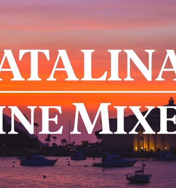 Catalina Wine Mixer