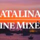 Catalina Wine Mixer: From Fictional Fête to Real-Life Festivity 55 Catalina Wine Mixer