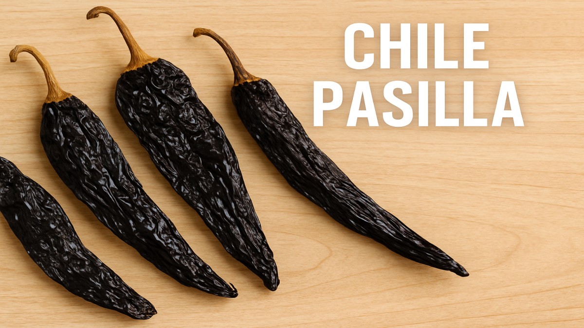 Chile Pasilla: The Smoky Star of Mexican Cuisine 41 Chile Pasilla