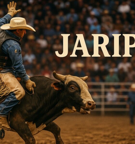 Jaripeo