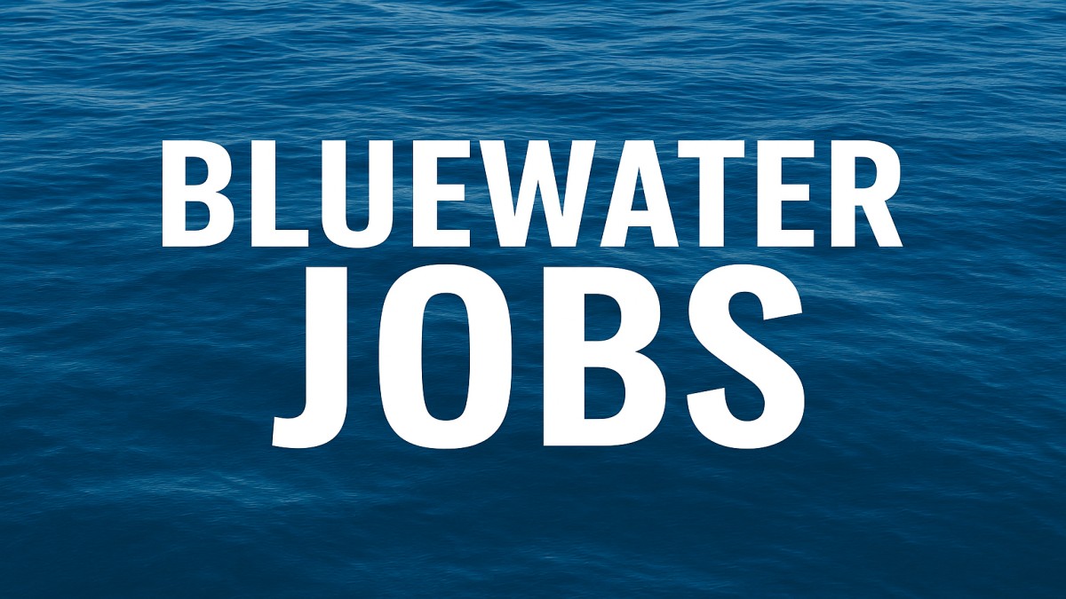 Bluewater Jobs: Your Complete Guide to Opportunities, Careers, and Benefits 41 Bluewater Jobs