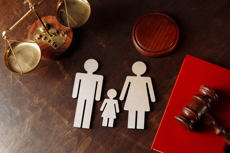Family Solicitors Can Help Protect Your Parental Rights