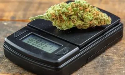 Weed Scale