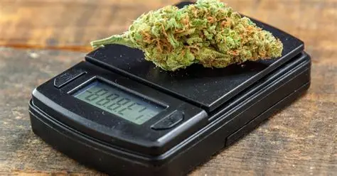 Weed Scale: A Complete Guide for Accurate Measurement 41 Weed Scale