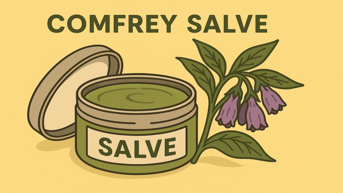 Comfrey Salve: Nature’s Healing Balm Explained 41 Comfrey Salve