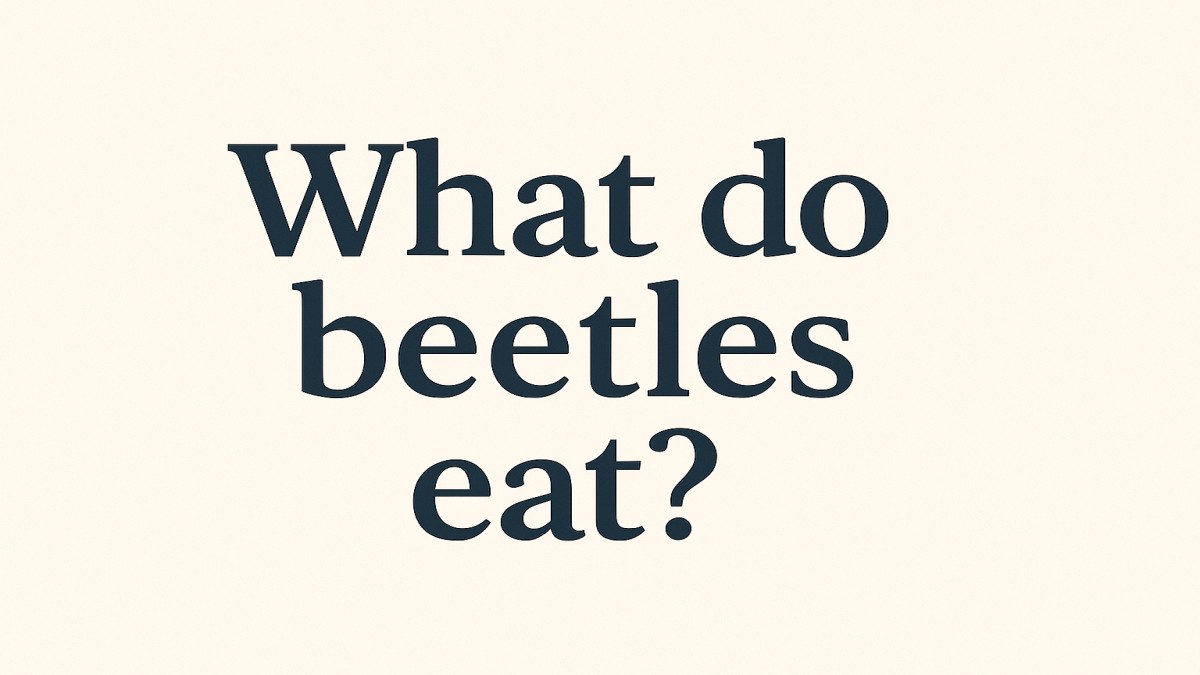 What Do Beetles Eat? A Deep Dive into the Diverse Diets of These Curious Creatures 41 What Do Beetles Eat