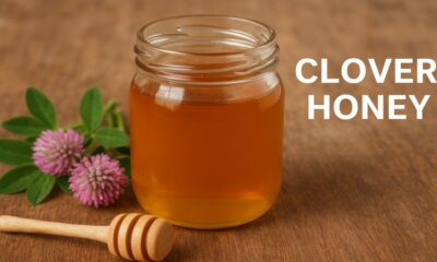 Clover Honey