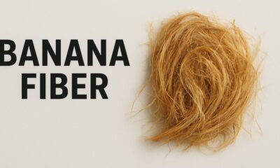Banana Fiber