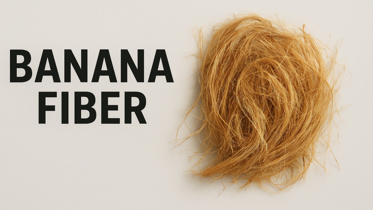 Banana Fiber
