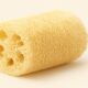 Loofah Sponge: Benefits, Uses, and Care Tips 54 Loofah Sponge