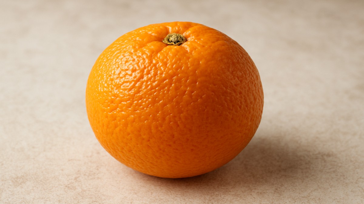 Rough Orange