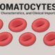 Stomatocytes: Causes, Characteristics, and Clinical Importance 54 Stomatocytes