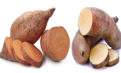 Yam vs Sweet Potato
