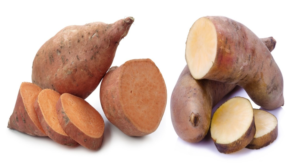 Yam vs Sweet Potato: Key Differences, Nutrition, and Benefits 41 Yam vs Sweet Potato