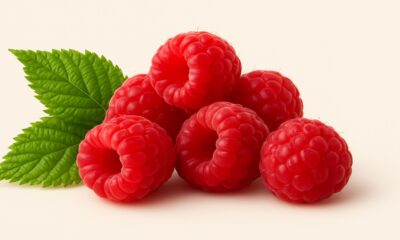 Framboise