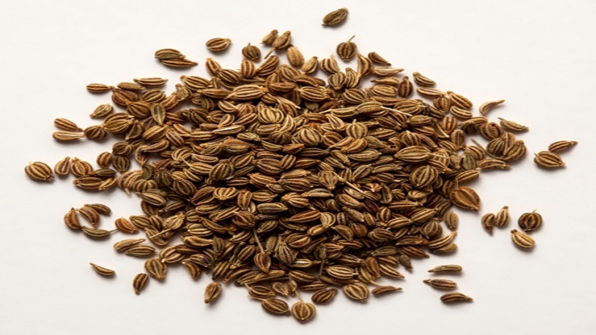 Dill Seeds: Benefits, Uses, and Everything You Need to Know 41 Dill Seeds