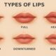 Different Types of Lips and What They Reveal About You 60 Types of Lips
