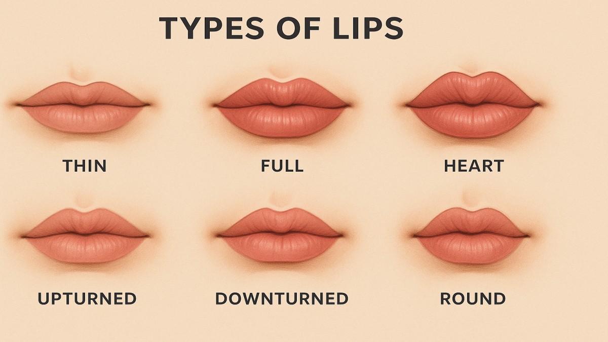 Different Types of Lips and What They Reveal About You 41 Types of Lips