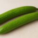 Armenian Cucumber: The Crisp, Refreshing Wonder You Need in Your Kitchen 48 Armenian Cucumber