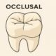 Understanding Occlusal: Meaning, Importance, and Dental Applications 60 Occlusal