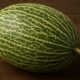 Santa Claus Melon: The Refreshing Fruit You Need to Try 48 Santa Claus Melon