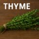 Tomillo: The Timeless Herb with Modern Benefits 46 Tomillo