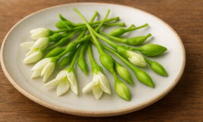 Loroco: The Fragrant Flower of Central American Cuisine