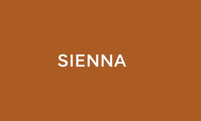 Sienna Color