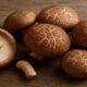 Shiitake Edodes: The Flavor-Packed Mushroom with Powerful Health Benefits 42 Shiitake Edodes