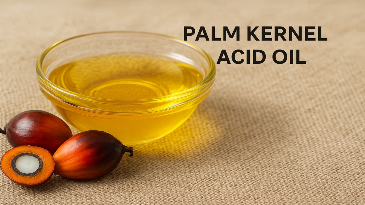 Palm Kernel Acid Oil: Uses, Benefits, and Industrial Importance 41 Palm Kernel Acid Oil
