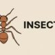 What Is Insecto? A Complete Guide to the Pest Control Solution 130 Insecto