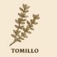 Tomillo: The Complete Guide to This Powerful Herb 132 Tomillo