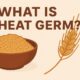 What Is Wheat Germ? A Complete Guide to Its Benefits, Uses, and Nutrition 53 Wheat Germ