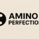 Amino Perfection – The Complete Guide 128 Amino Perfection