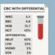 CBC With Differential: What It Is, How It Works, and Why It Matters 126 CBC With Differential