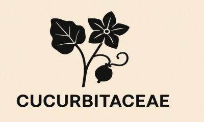 Cucurbitaceae