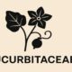Cucurbitaceae: A Complete Guide to the Gourd Family 126 Cucurbitaceae