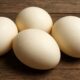Rhea Eggs: Nutrition, Appearance, Uses & Why They Fascinate the World 42 Rhea Eggs