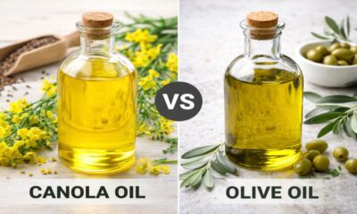 Canola Oil vs Olive Oil