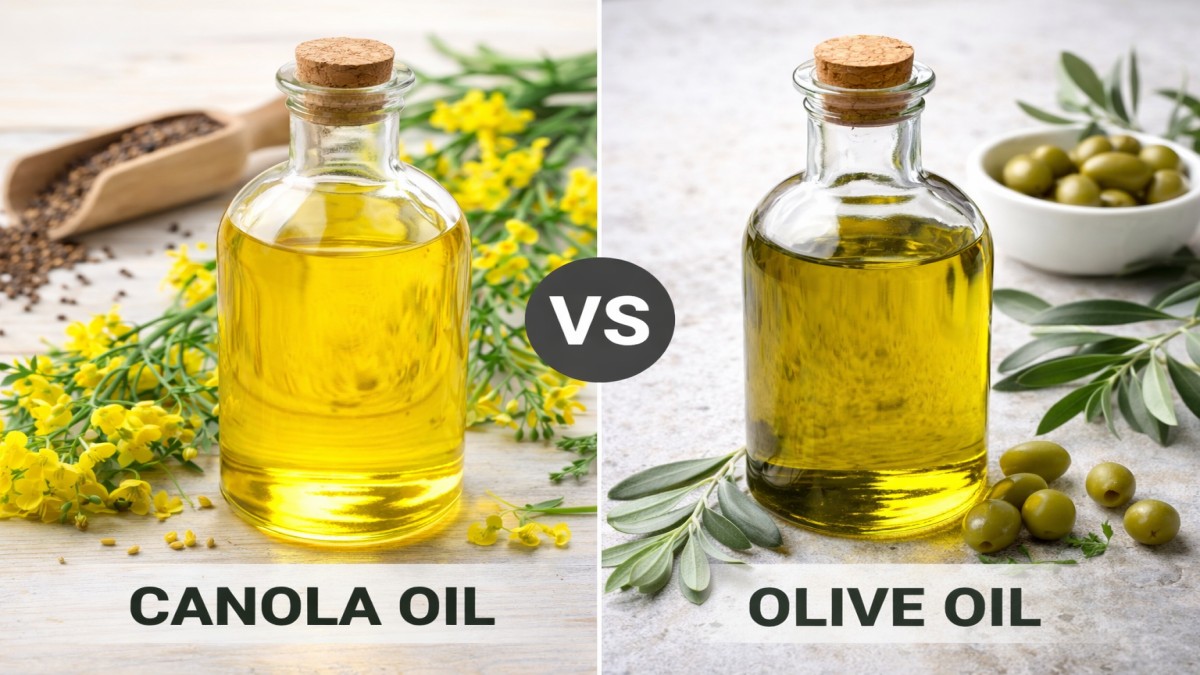 Canola Oil vs Olive Oil