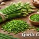 Garlic Chives