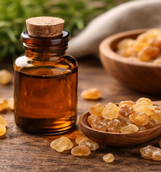 Frankincense Oil